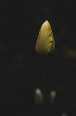 1317835