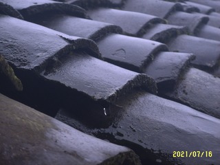1000003097