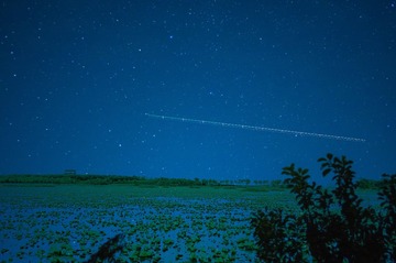 1000024774