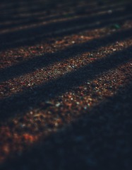 1570451