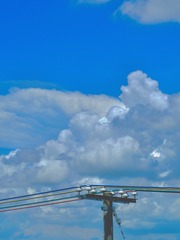 D0BD0742-4676-4F8F-BB1A-73B6735E700A/L0/001