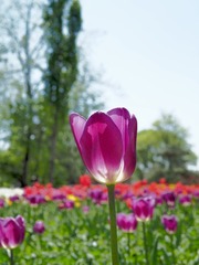 D8F34AD5-B770-446C-96A3-C26BD8919FF5/L0/001