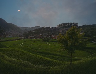 150393