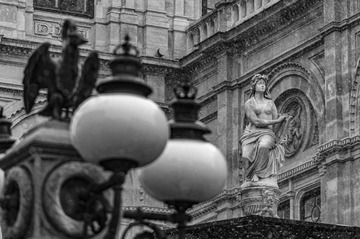 _DSC0455