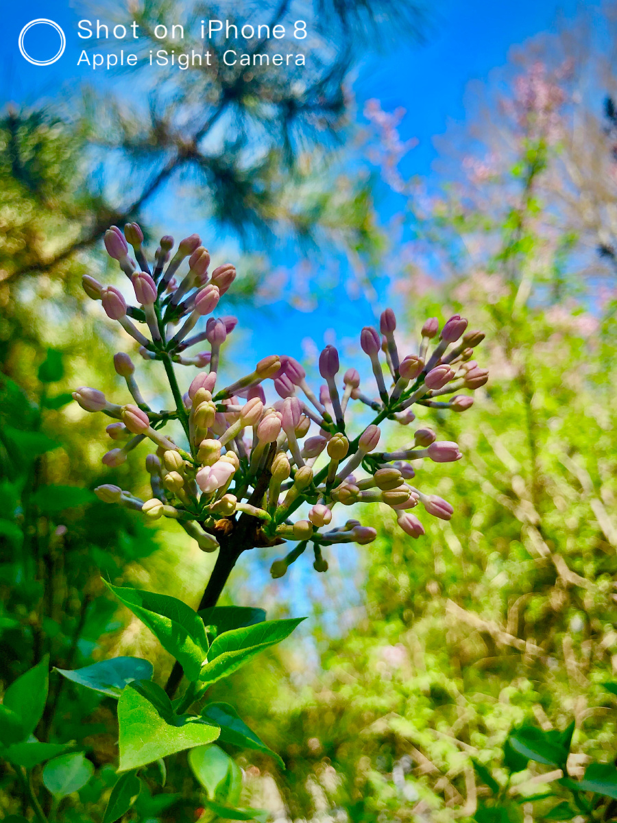 春青秋黄皆是日常