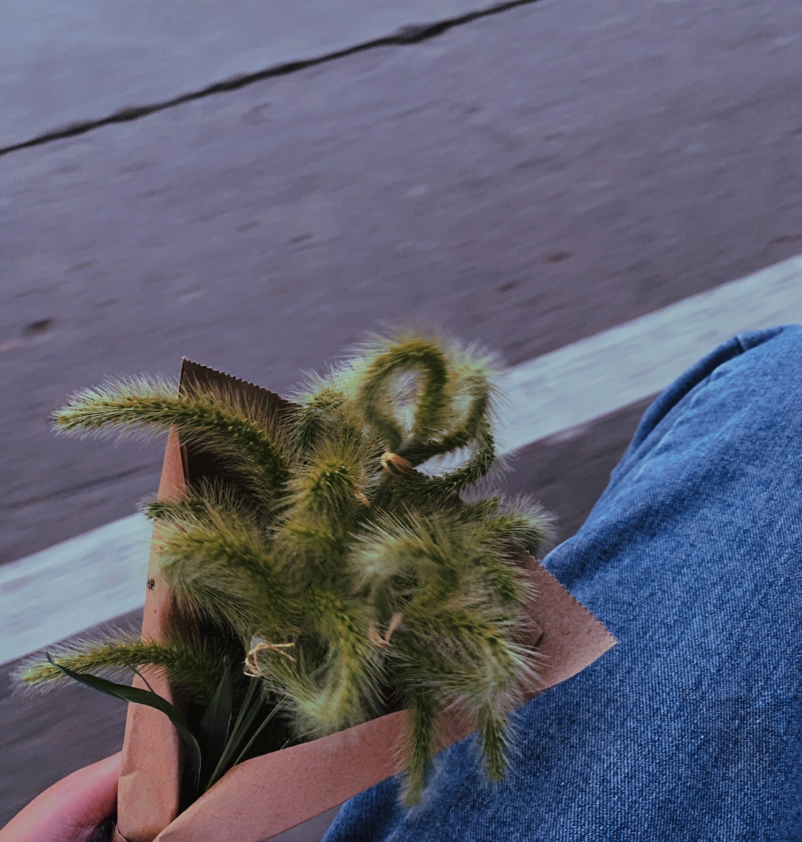 狗尾巴草花束