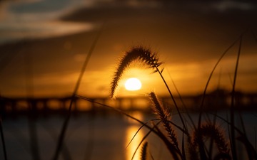 FB2C6CA2-1000-4F7A-930A-B850656CE51D/L0/001