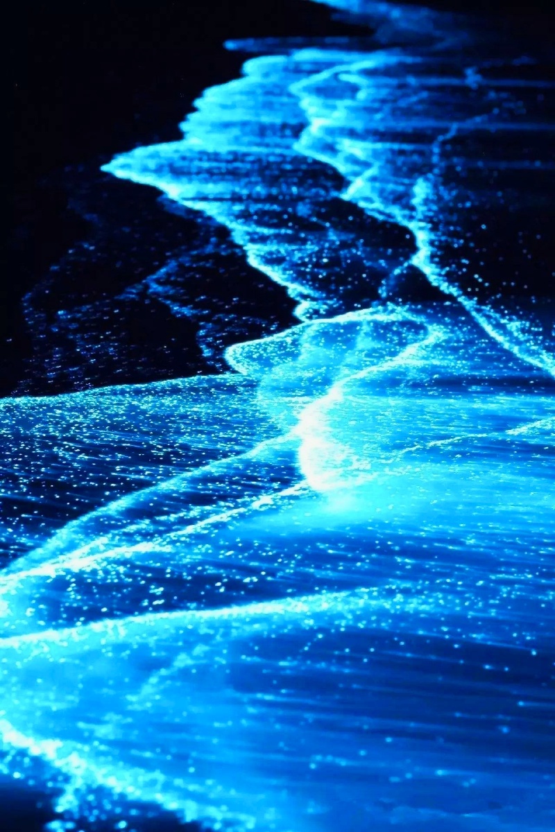 福建平潭蓝眼泪