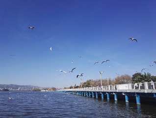 2003271