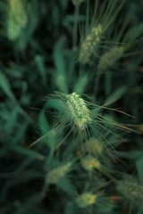 5A52067F-94E1-46E4-B614-0704EE36B7FA/L0/001