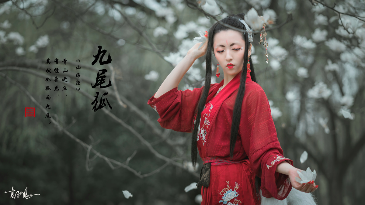 九尾狐预告