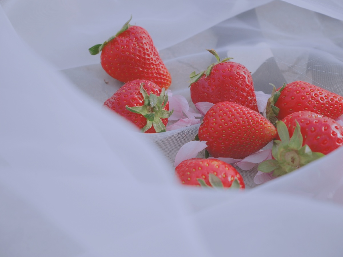 这样春天的草莓你不爱局部小清新水果大家喜欢请给我点个小心心吧这是