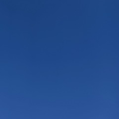 1000025023