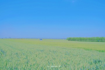 B715EC55-2530-43D7-ACC5-F08914701BBC/L0/001