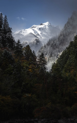 _03A1533-已增强-降噪