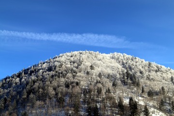 照·片IMG_1454