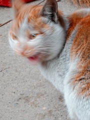 175713