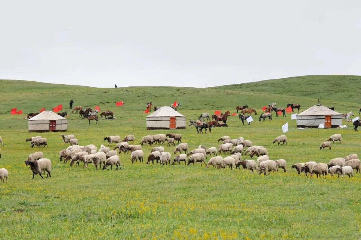 牧区生活 - 多木才 - 图虫