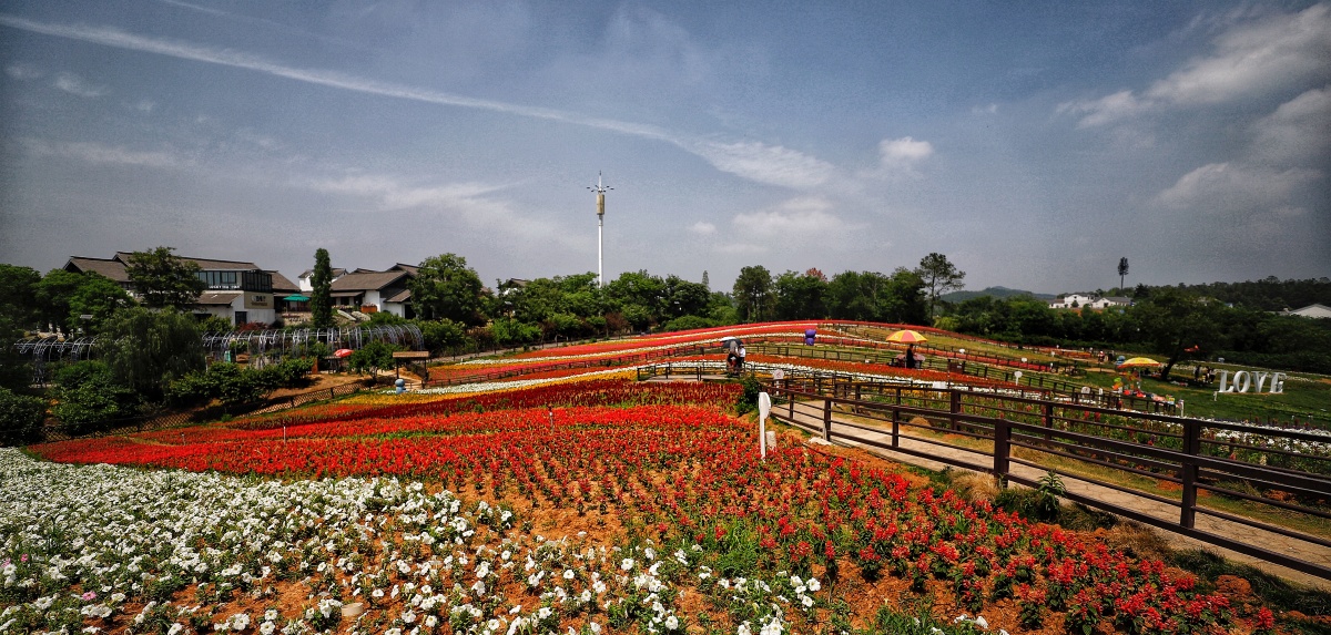 南京美丽乡村江宁谷里大塘金