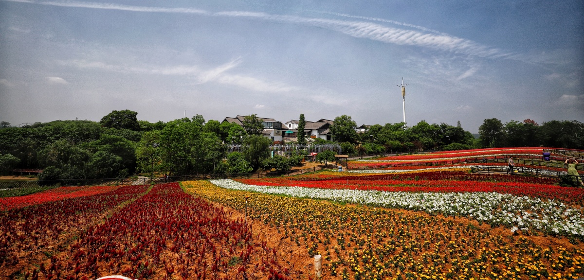 南京美丽乡村江宁谷里大塘金