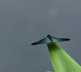 B473EA39-B315-49A8-8AD4-D32E5469D6E1/L0/001