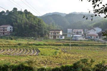 904331
