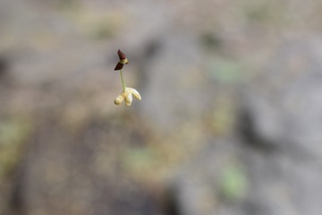 995605
