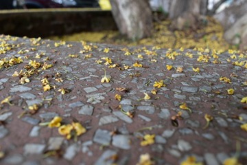 995606