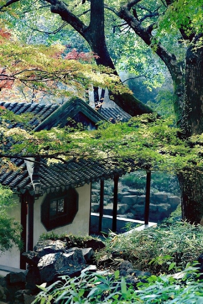 雅致的园林气息温婉的江南美景大美苏州