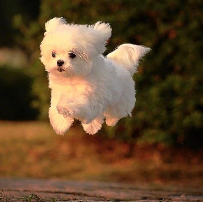 我叫好运我向你飞奔而来等等我