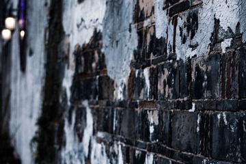 _DSC0569