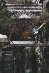 _DSC0562-2