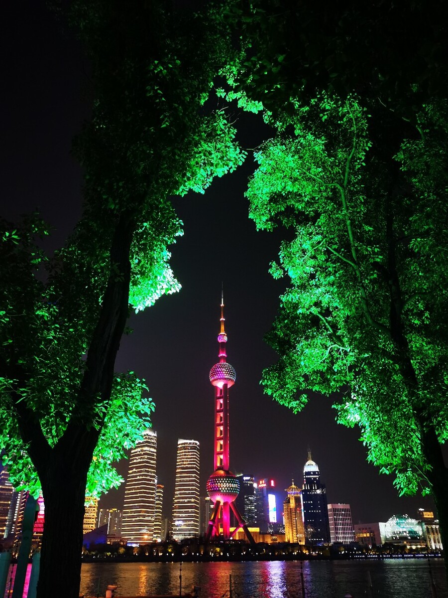 手机拍摄 利用周围树作为框架来构图 拍摄城市建筑