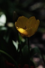 C65166D2-75DC-40C4-831B-ED19F8262720/L0/001
