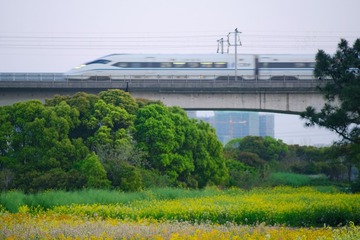 A6BA176E-73F1-40FB-B75D-919BC93A422A/L0/001