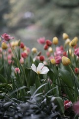 5D937614-74F9-47CC-8E78-556719833864/L0/001