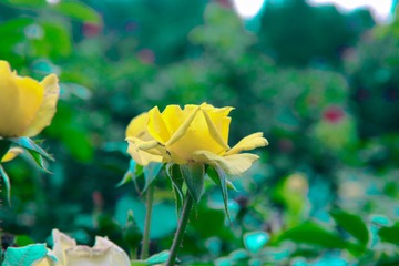 B0C28EBA-DB19-418D-8B3B-E329D3E4D960/L0/001