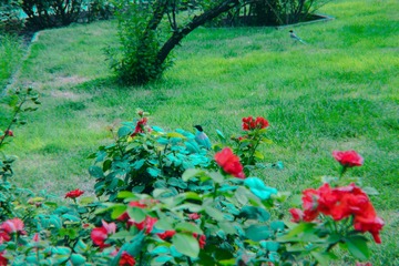 17E2232E-8F28-4E73-9CB4-79FA35080657/L0/001