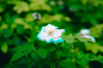 99E220D3-7248-404F-8035-E6C7B85C98FF/L0/001