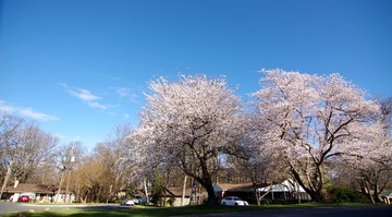 IMGP6989_