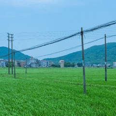 640677