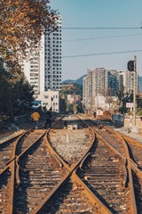1495309