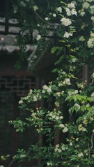 A0E7123C-D700-40AA-8567-6F1BC35B63FE/L0/001