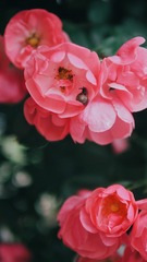 B06DB0F3-C9BA-4049-8F86-1A25809901D9/L0/001