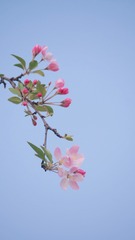CC86B1B7-16C3-4733-8509-2EA38BCDAC6B/L0/001