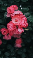 4072721B-77E0-4541-9A2C-683AF958B941/L0/001