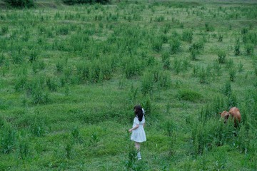766882A5-482B-42F5-B6B6-36D04BDACE7B/L0/001