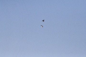 1FE5AF77-723F-42DB-BFF7-1FD5C8AC0FA4/L0/001