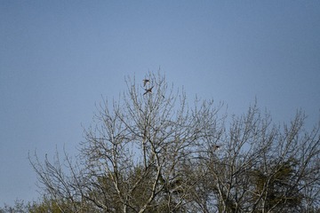 DAFACE53-C04E-4FE0-8D03-E1CA66ACF88B/L0/001