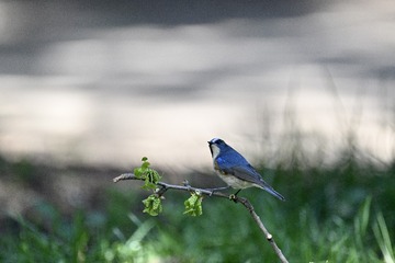 E8D95167-C367-40D0-8540-D398A79723EE/L0/001